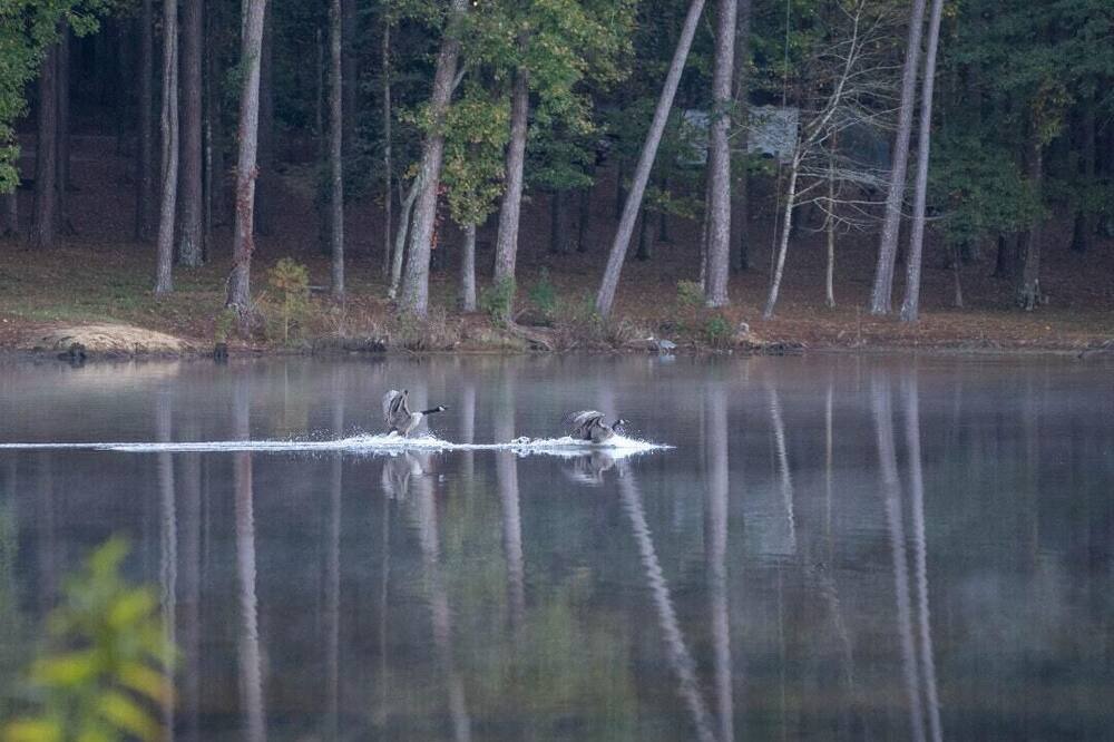 Photo of Others in Morton