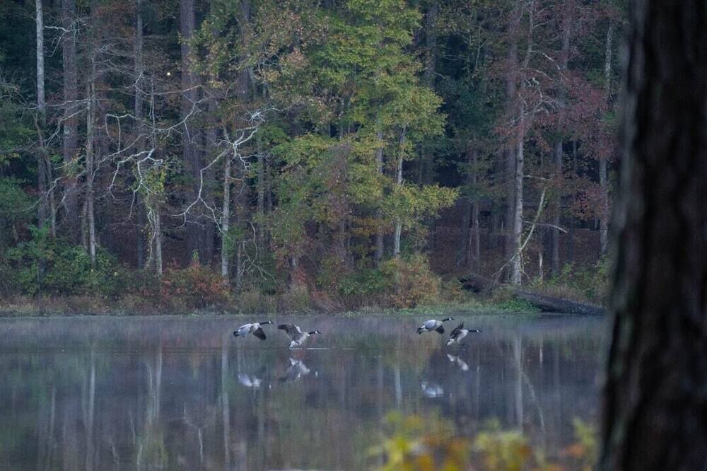 Photo of Others in Morton