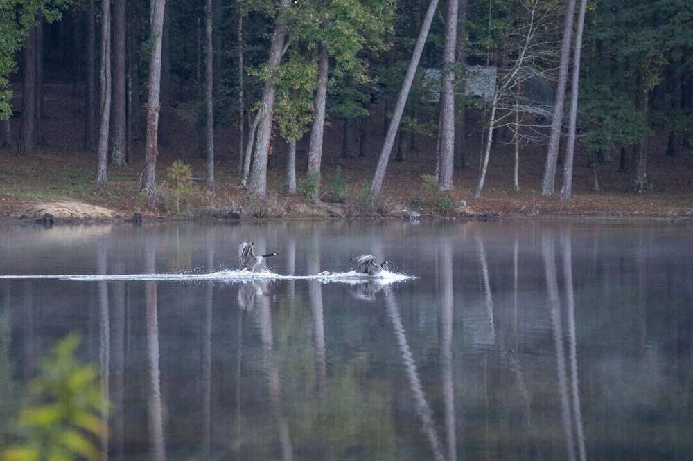 Photo of Others in Morton
