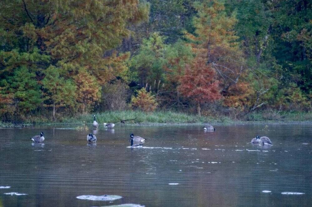 Photo of Others in Morton