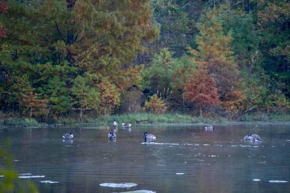 Photo of Others in Morton