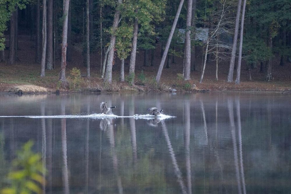 Photo of Others in Morton