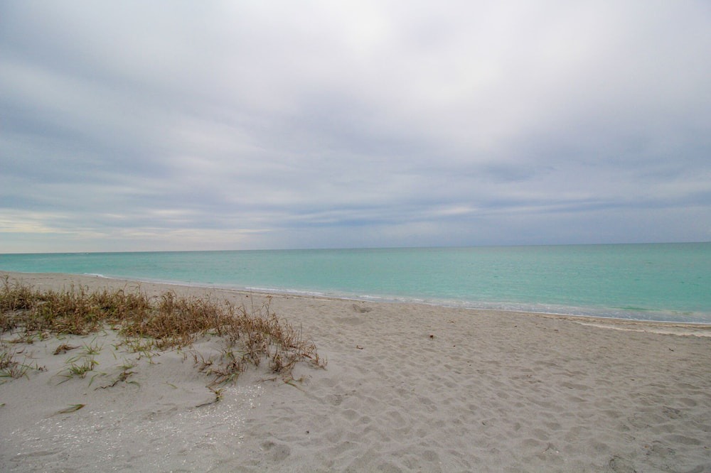 Photo of Others in Golden Beach