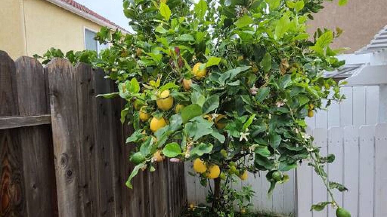 Photo of Outdoor in Mission Viejo