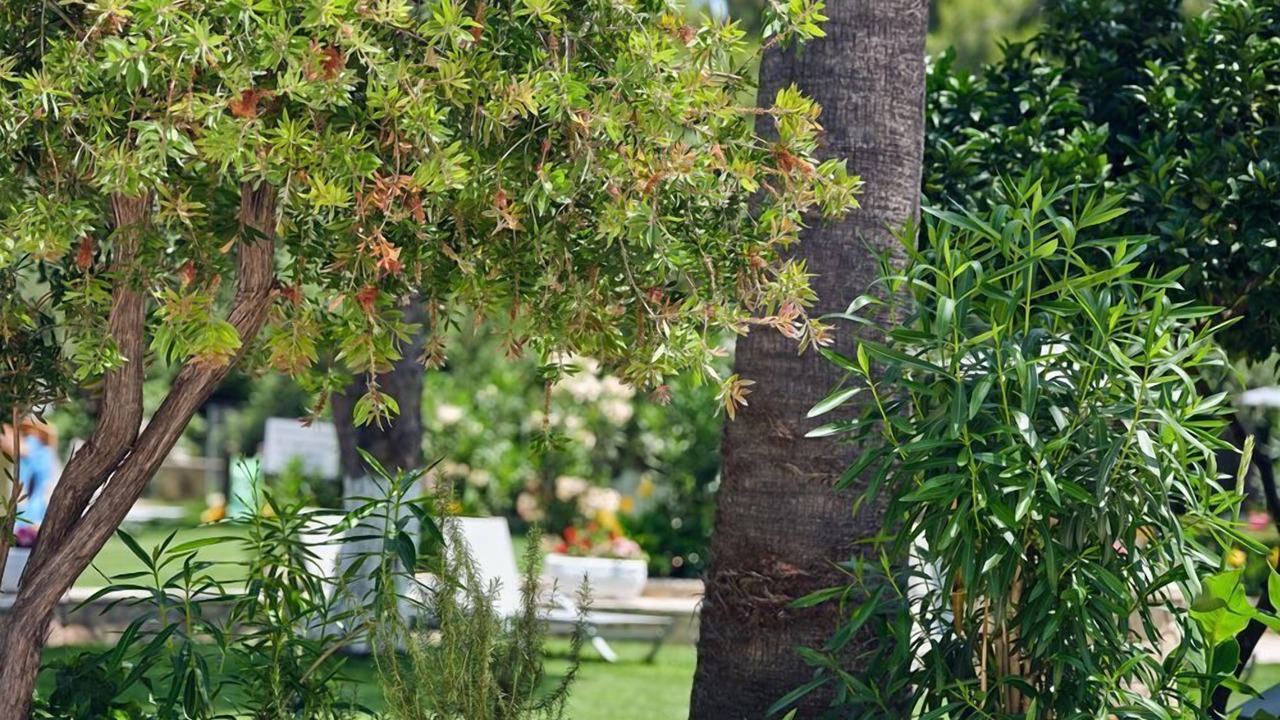 Photo of Outdoor in Tsilivi