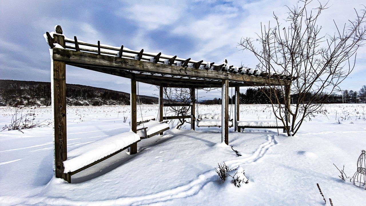 Photo of Outdoor in Cherry Creek