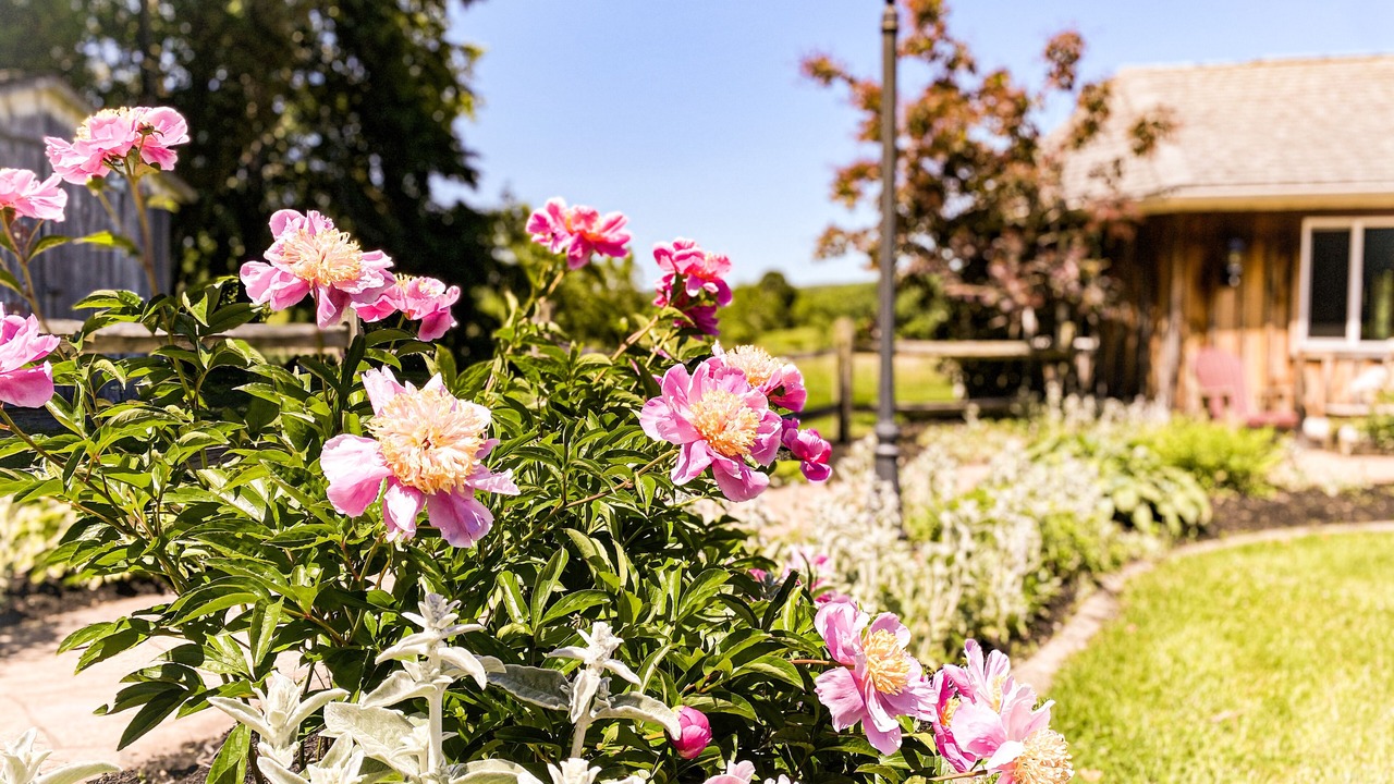 Photo of Outdoor in Cherry Creek