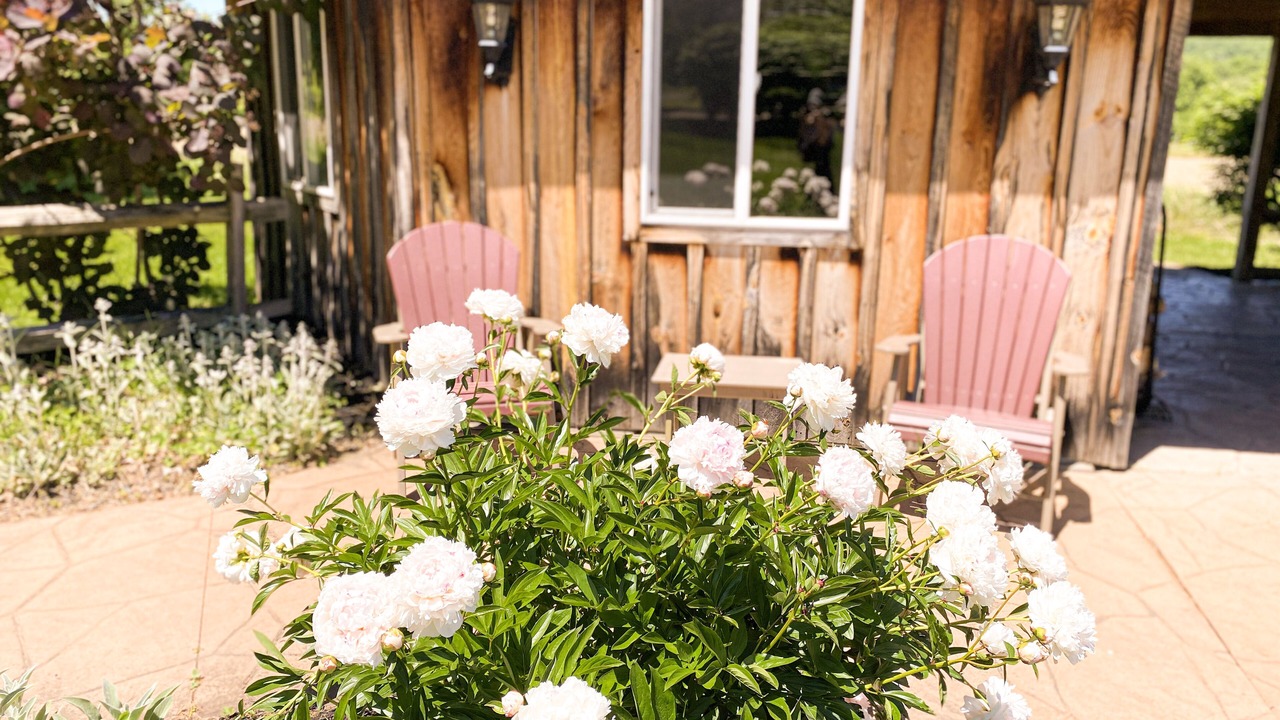 Photo of Outdoor in Cherry Creek