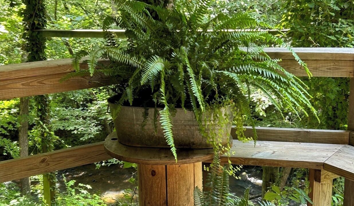 Photo of Outdoor in Ashland