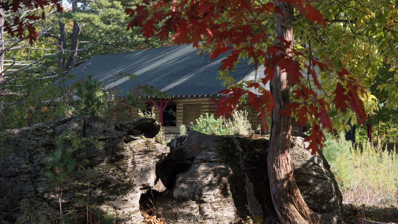 Photo of Outdoor in Catskill