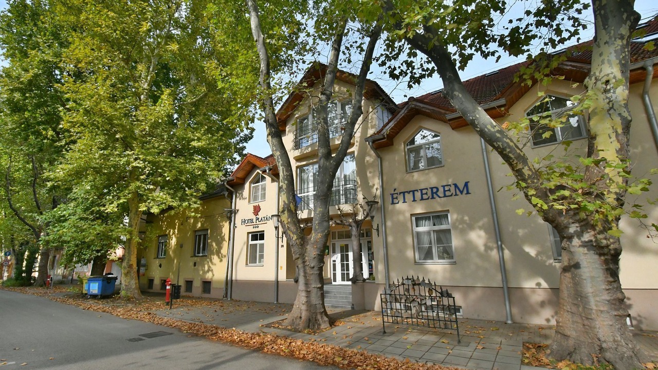 Photo of Outdoor in Szekesfehervar