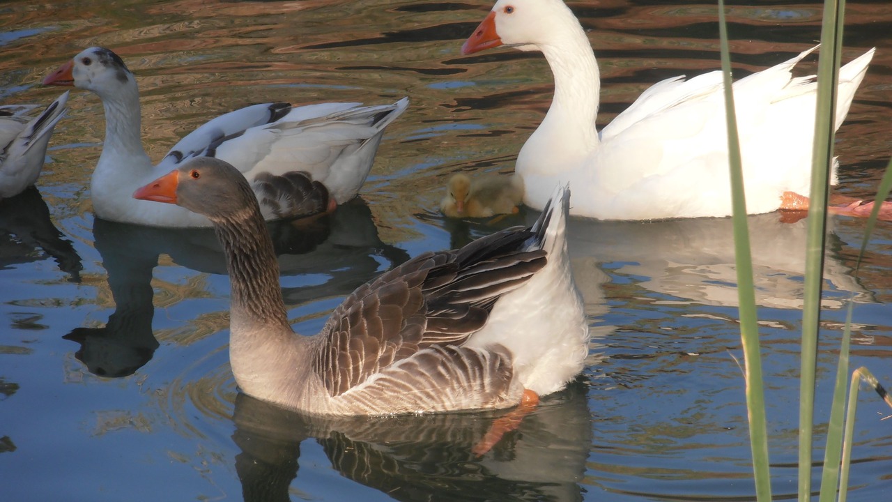 Photo of Outdoor in Rugat