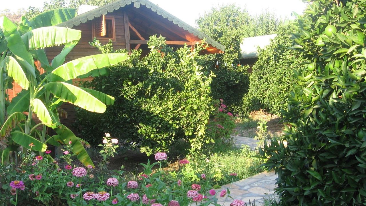 Photo of Outdoor in Cirali