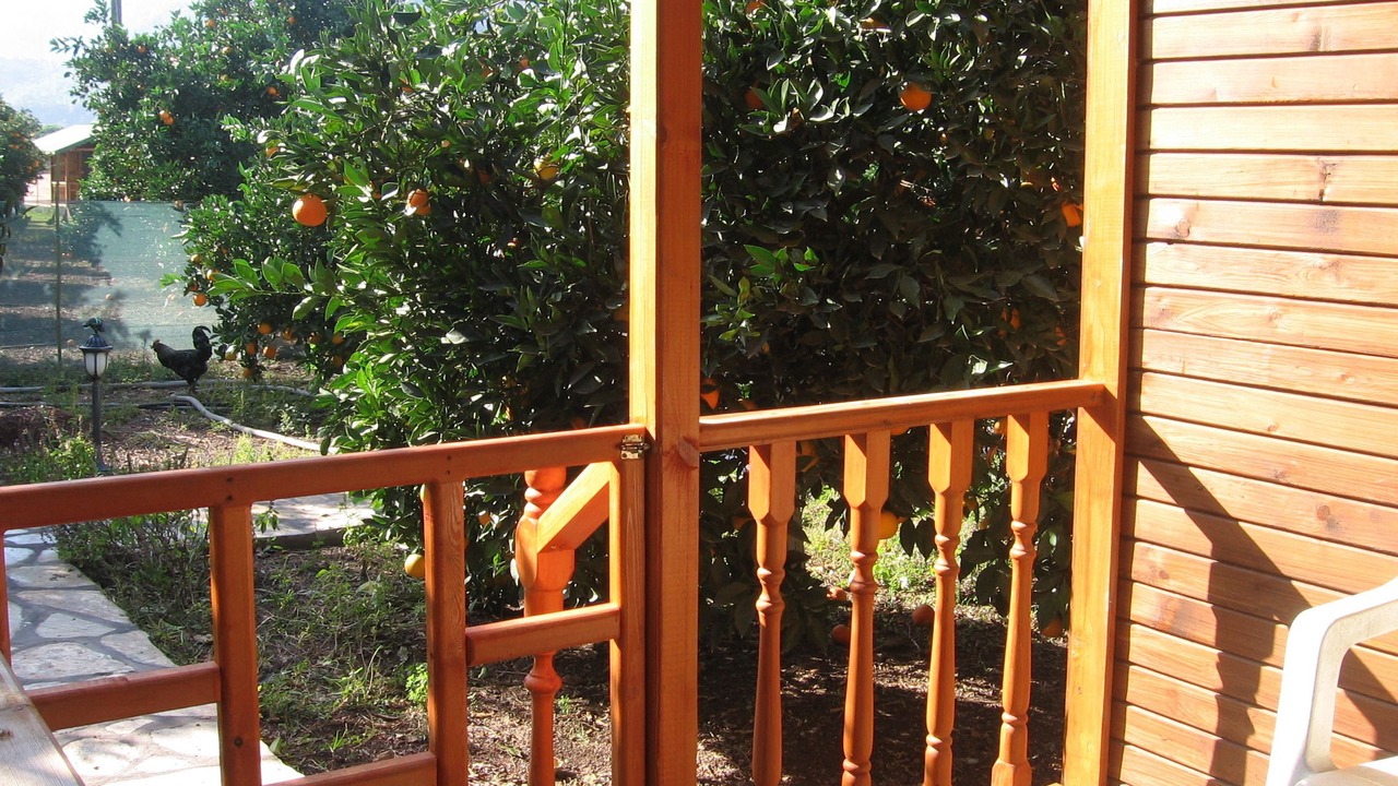 Photo of Patio Balcony in Cirali
