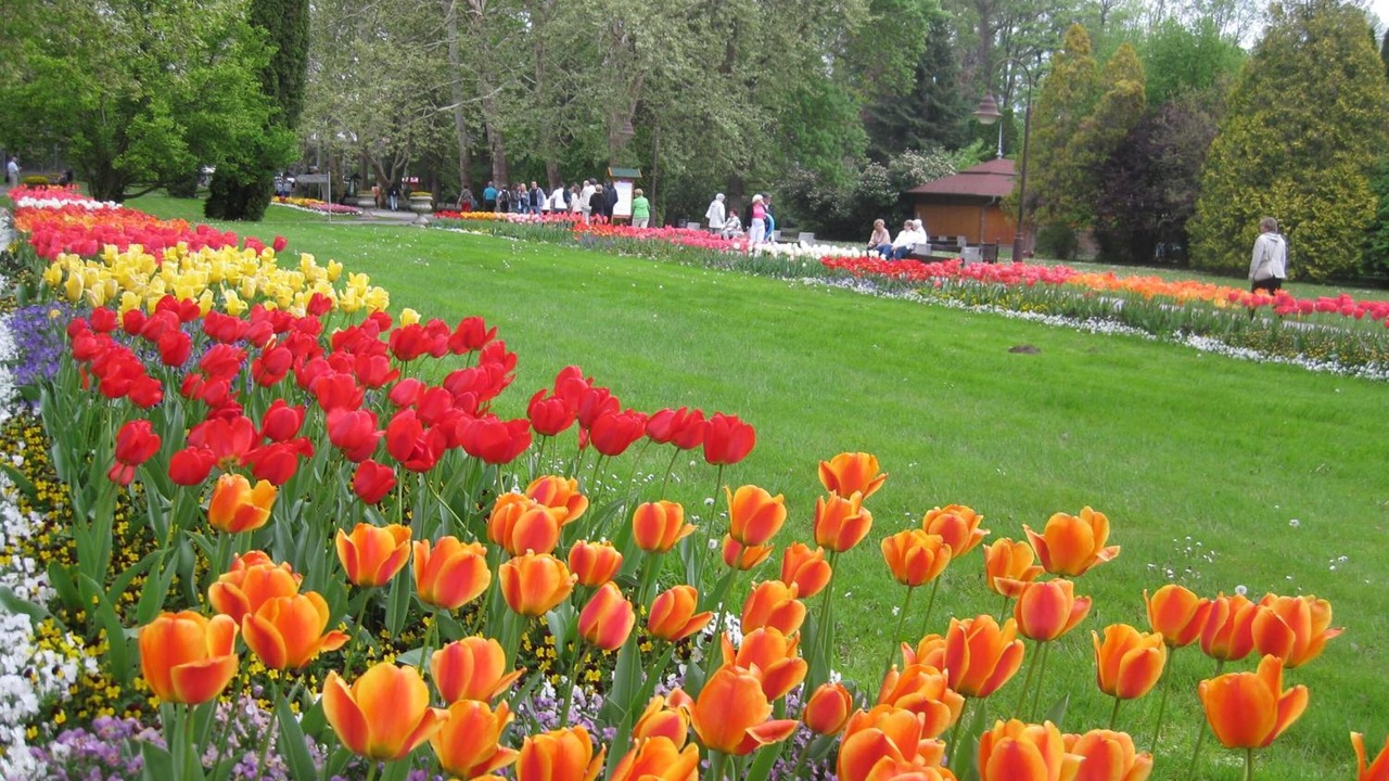 Photo of Outdoor in Heviz