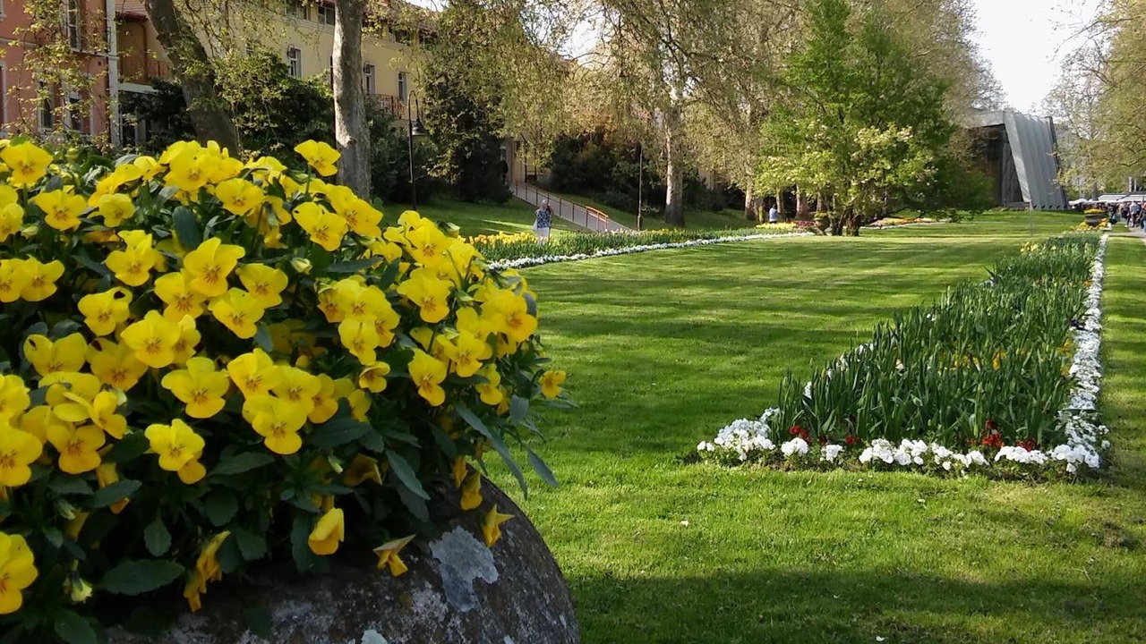 Photo of Outdoor in Heviz