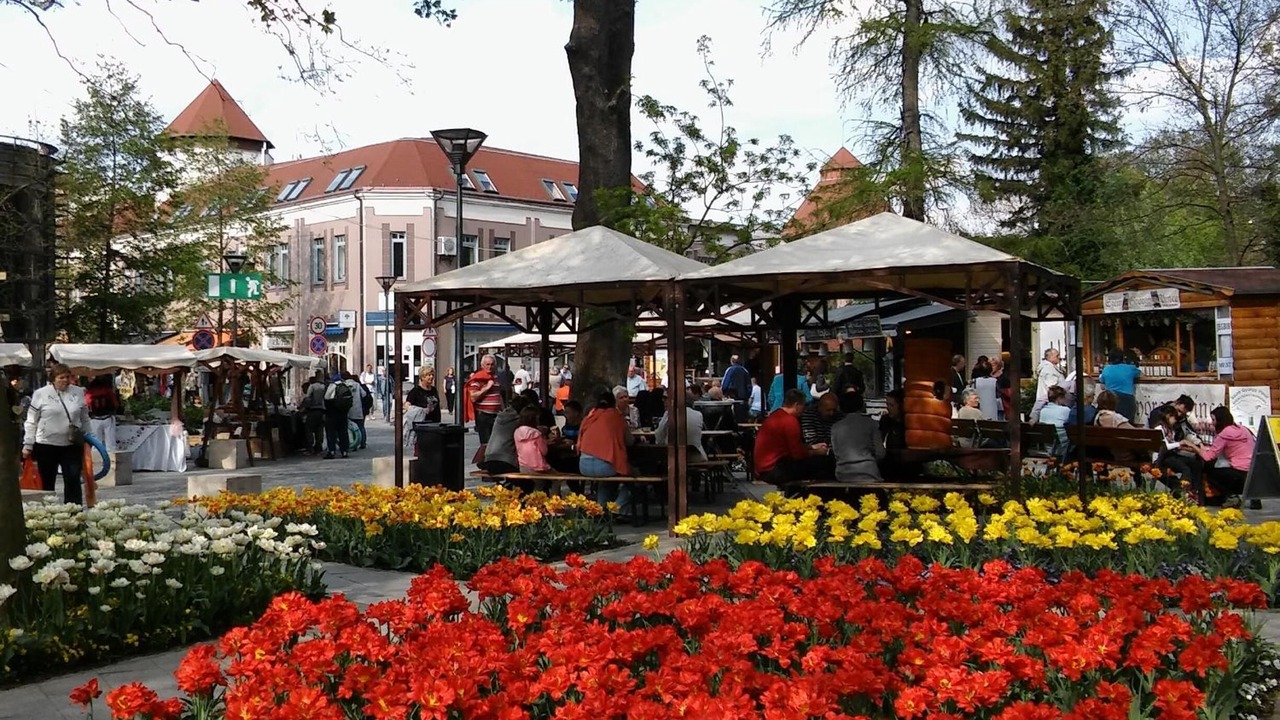 Photo of Others in Heviz