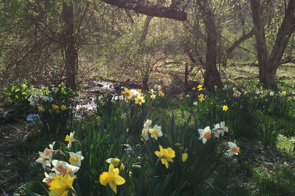 Photo of Outdoor in Town of Copake