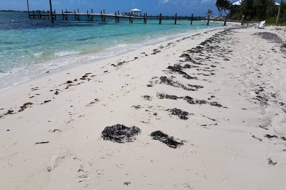 Photo of Others in Lubbers Quarters Cay