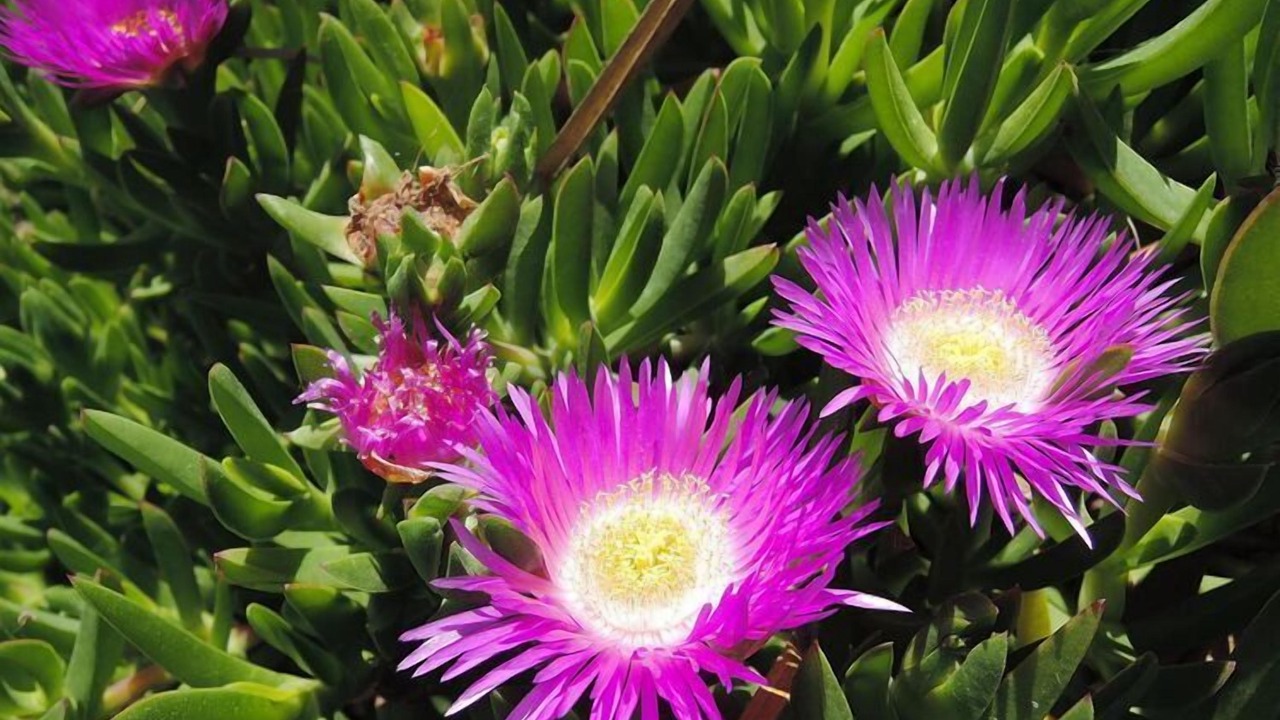 Photo of Outdoor in L'Escala