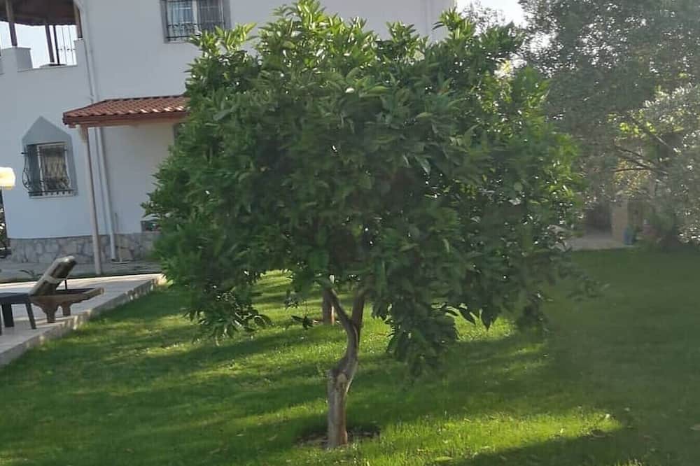 Photo of Outdoor in Dalaman