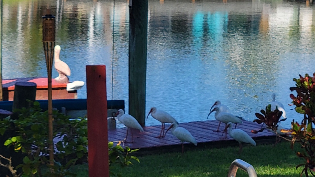 Photo of Outdoor in Cocoa Isles