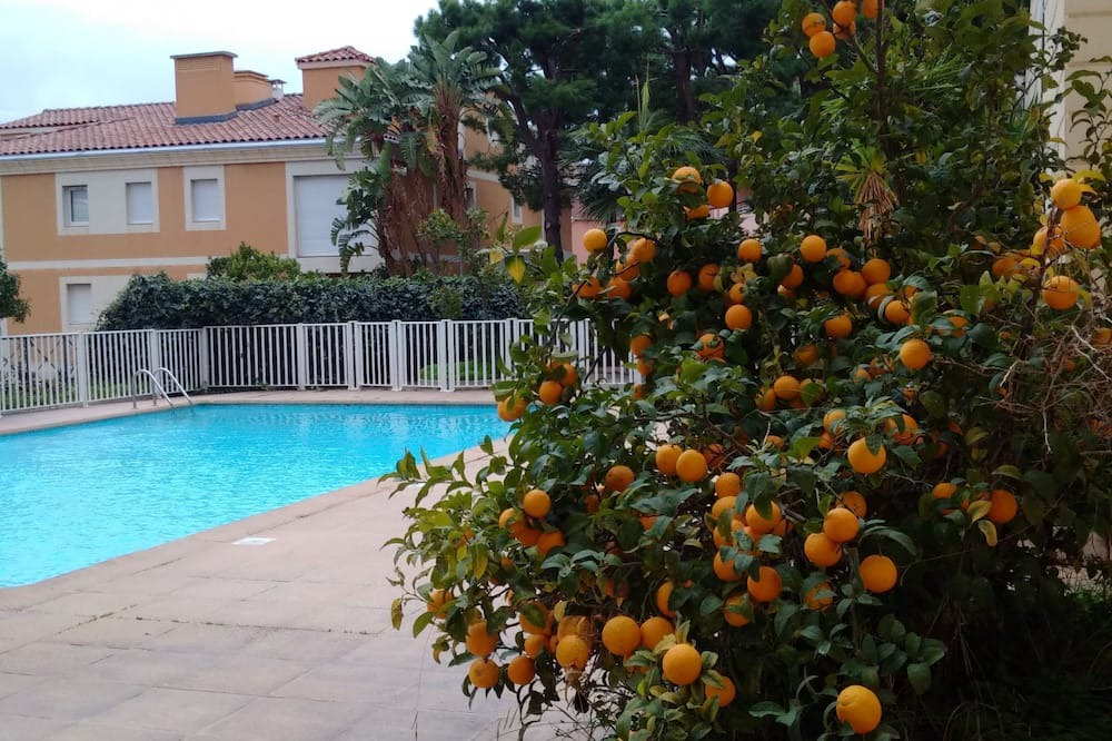 Photo of Outdoor in La Rousse