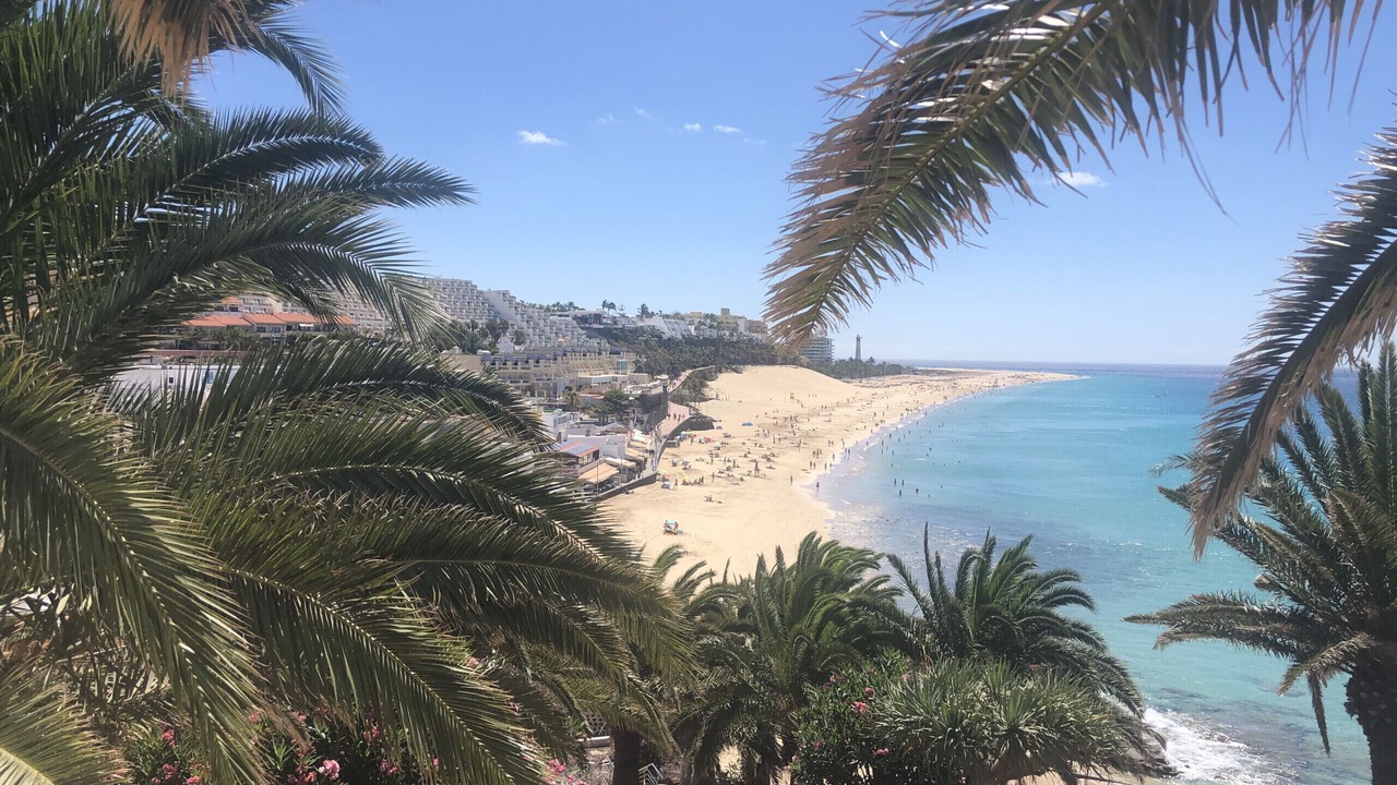 Photo of Others in Solana del Matorral