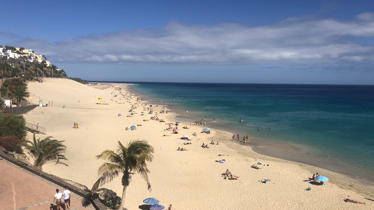 Photo of Others in Solana del Matorral