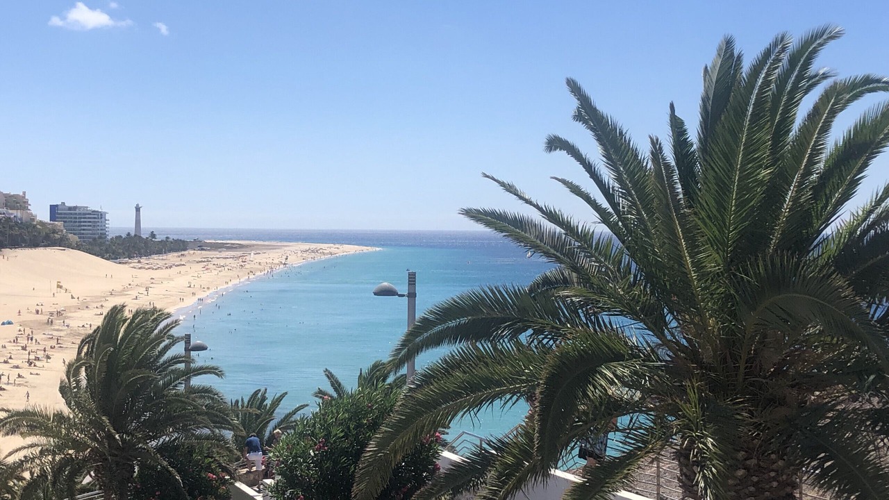 Photo of Others in Solana del Matorral