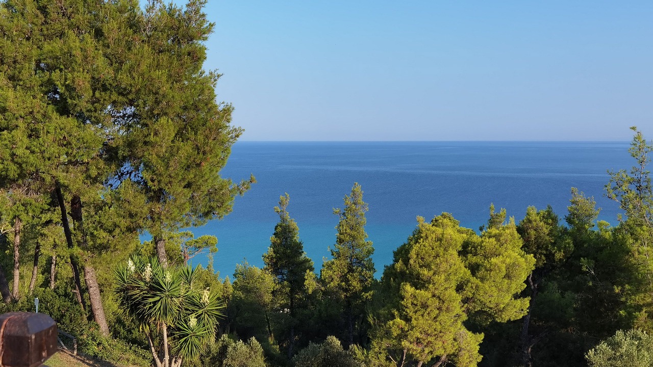 Photo of Others in Kassandra