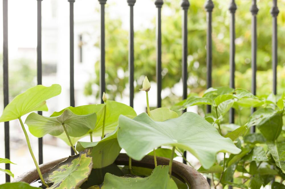 Photo of Outdoor in Thanh Khe
