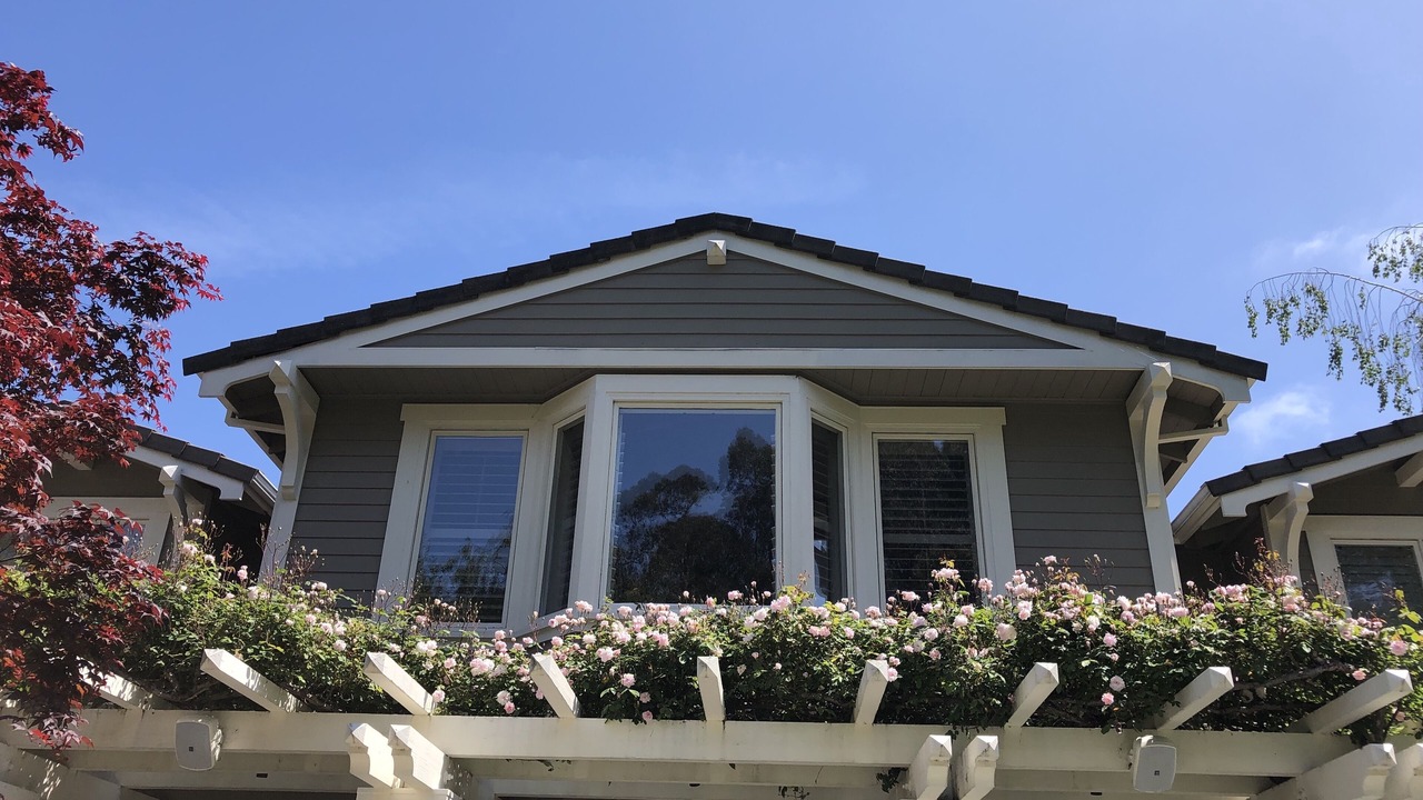 Photo of Outdoor in Tiburon