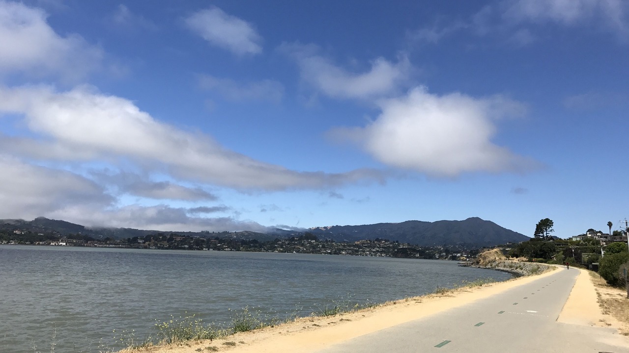 Photo of Others in Tiburon