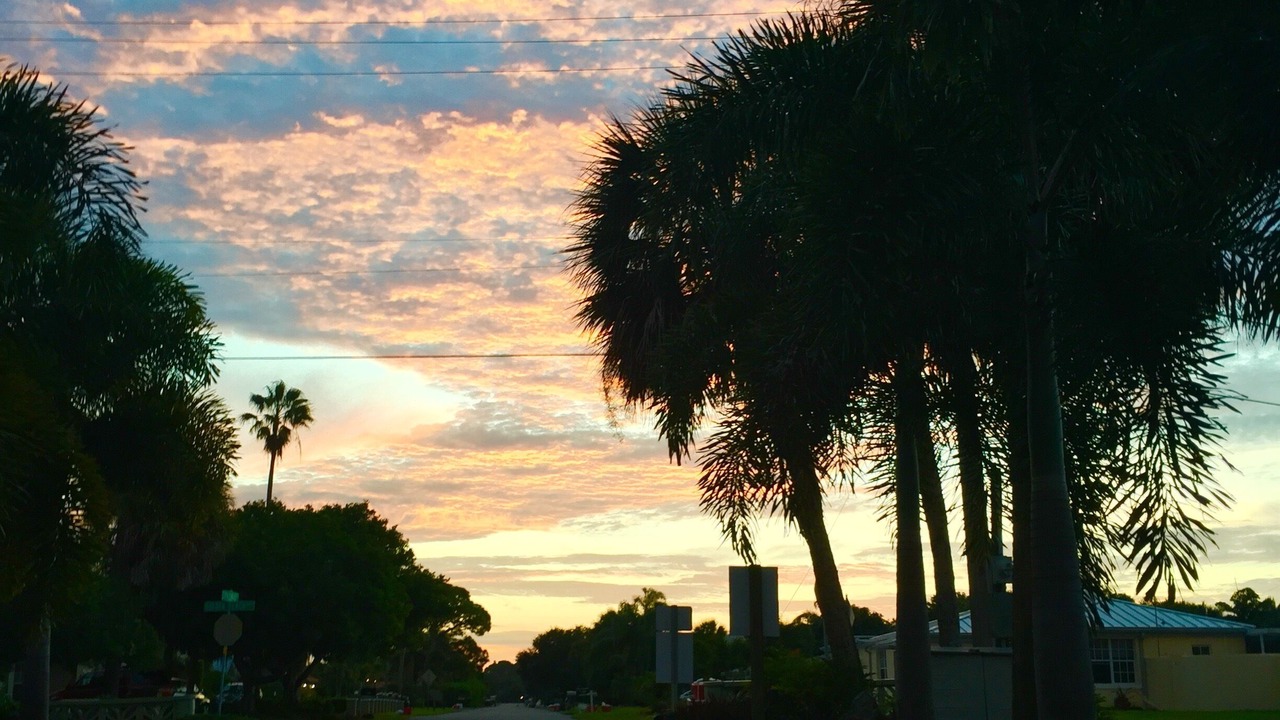 Photo of Outdoor in Golden Beach