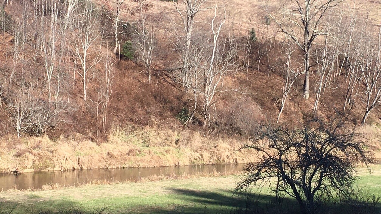 Photo of Outdoor in Todd