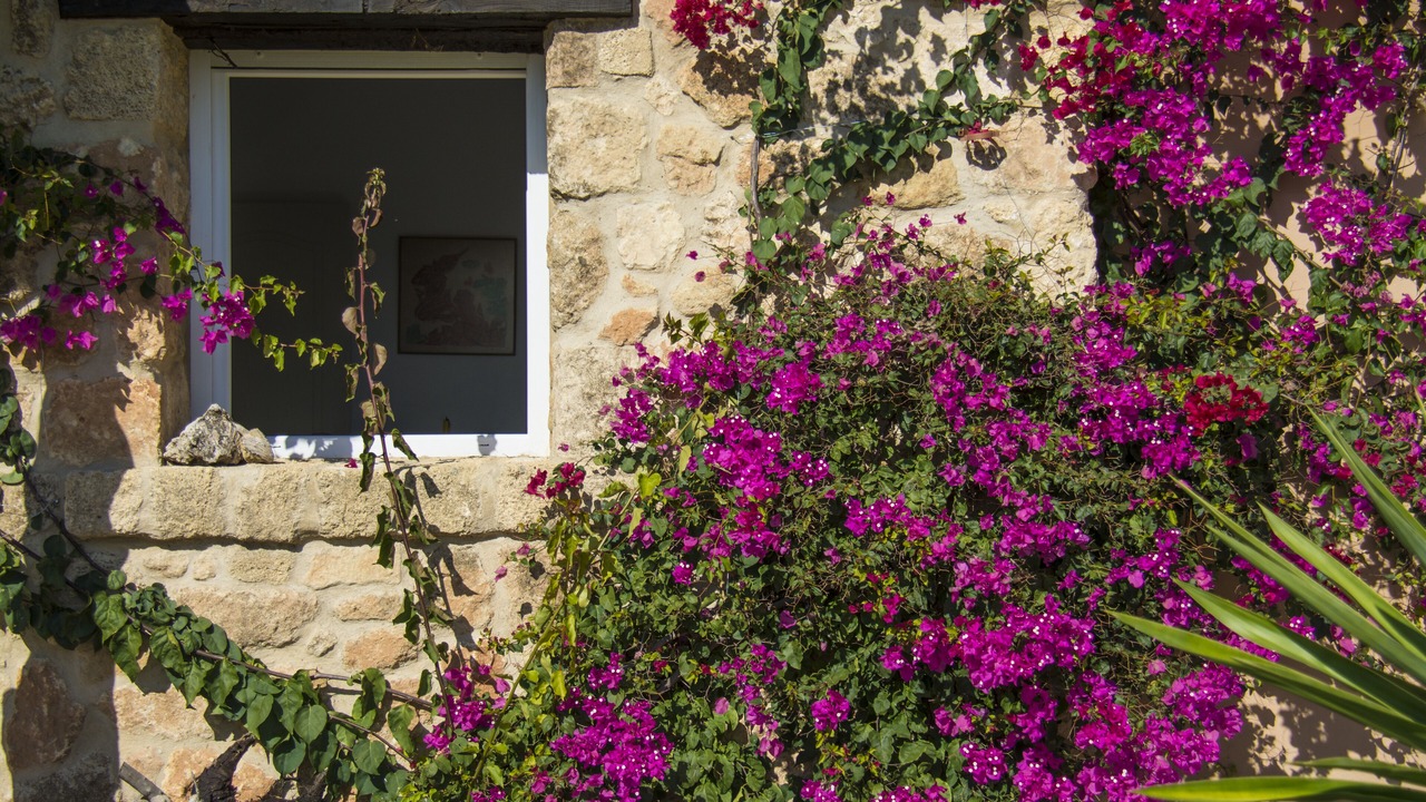 Photo of Outdoor in Almodovar del Rio