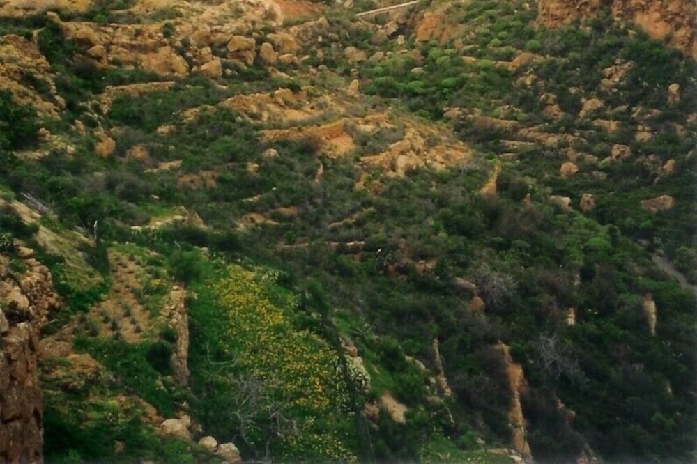 Photo of Others in Los Gavilanes