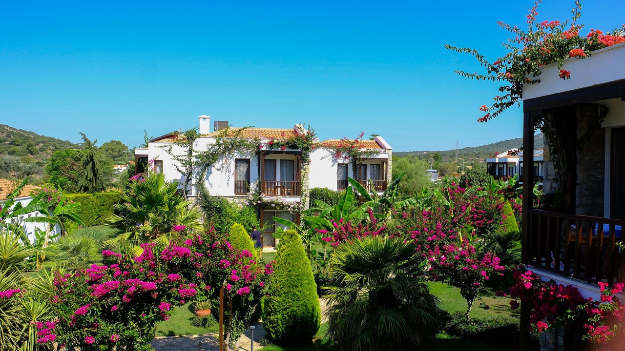 Photo of Outdoor in Datca