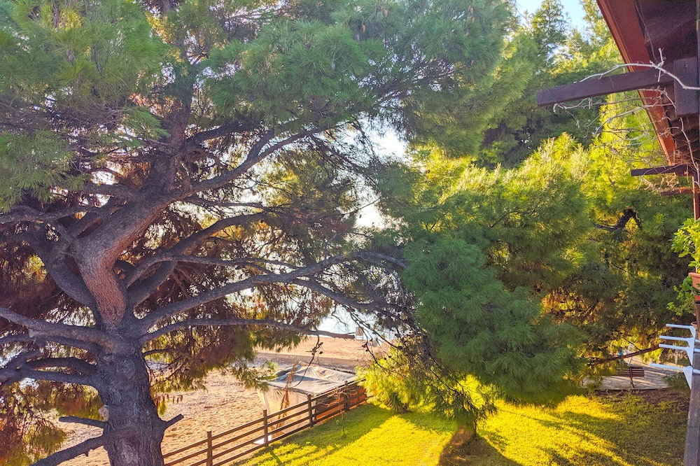 Photo of Outdoor in Metamorfosi