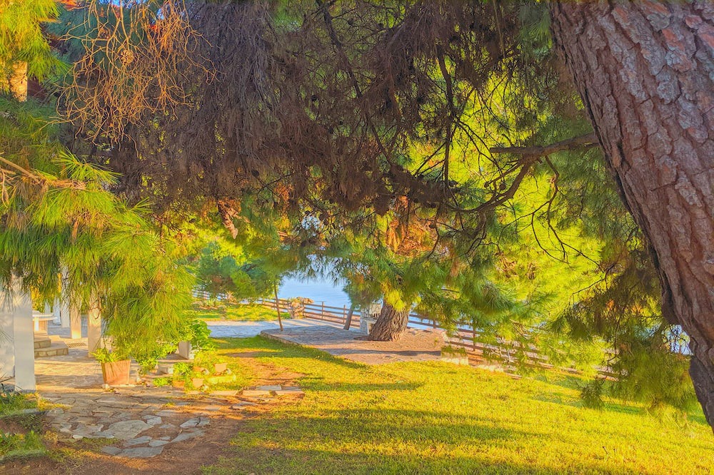 Photo of Outdoor in Metamorfosi