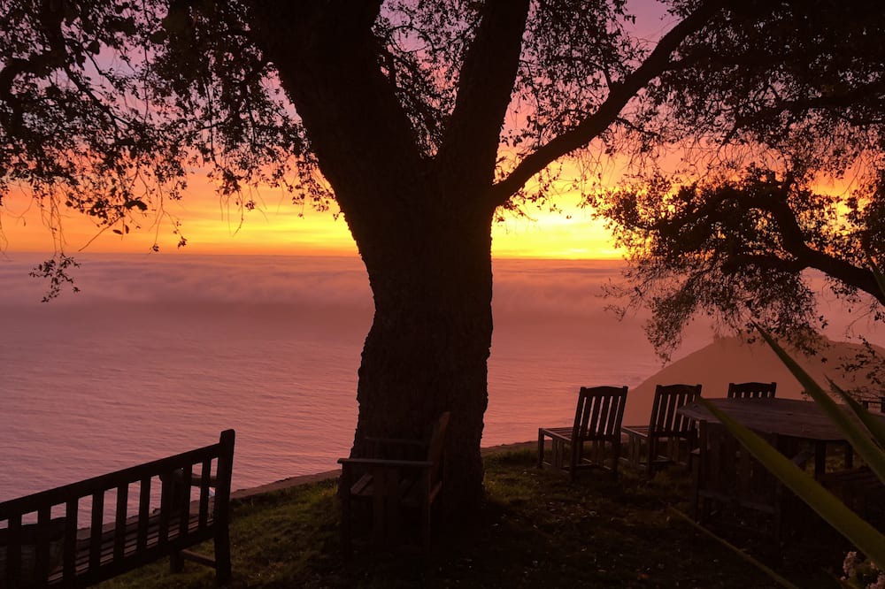Photo of Others in Big Sur
