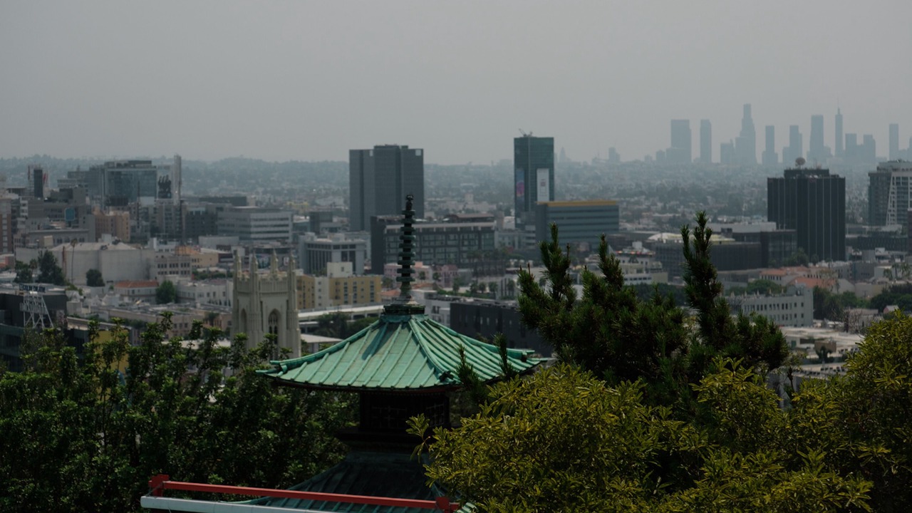 Photo of Outdoor in Hollywood Heights