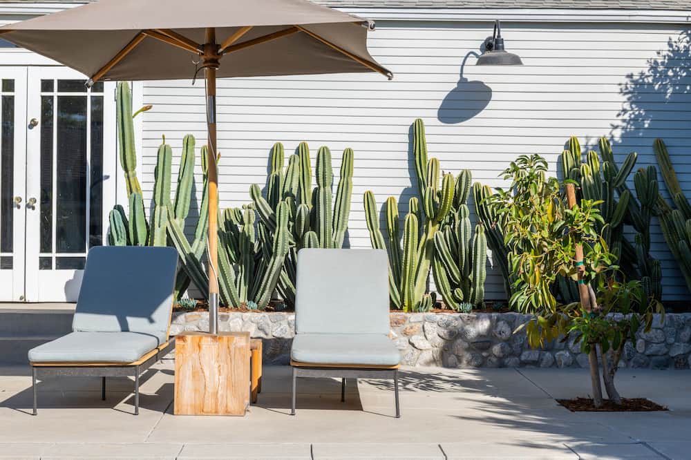 Photo of Patio Balcony in Silver Lake