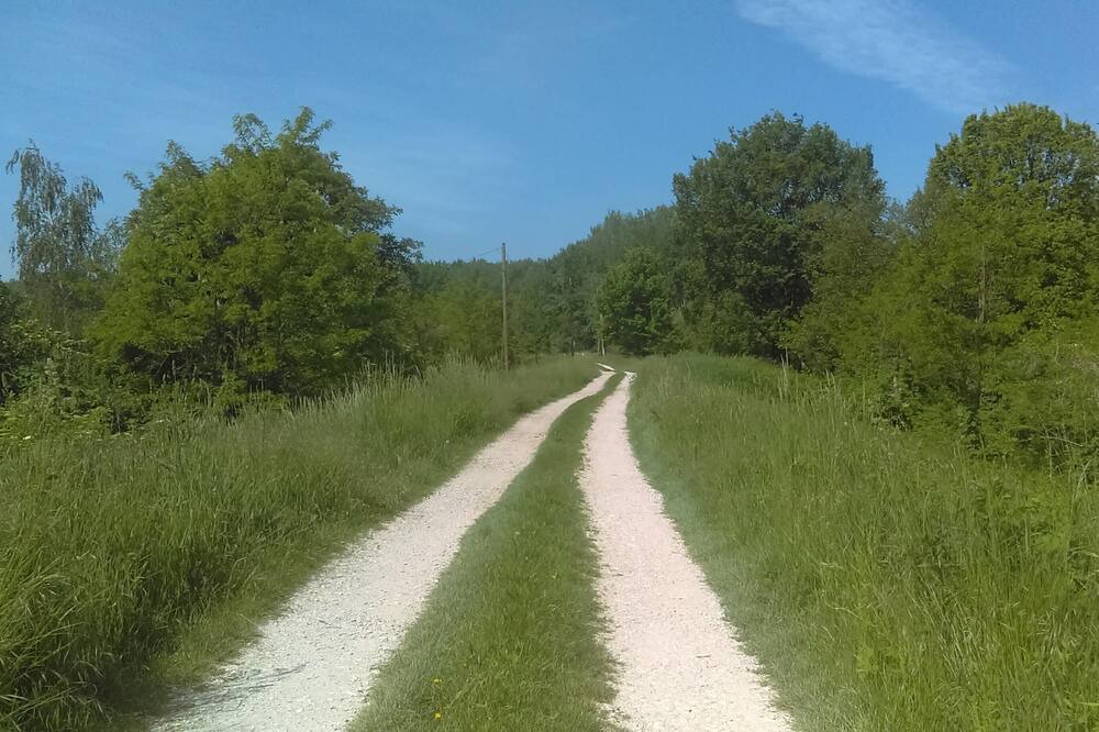 Photo of Outdoor in Tiszadob