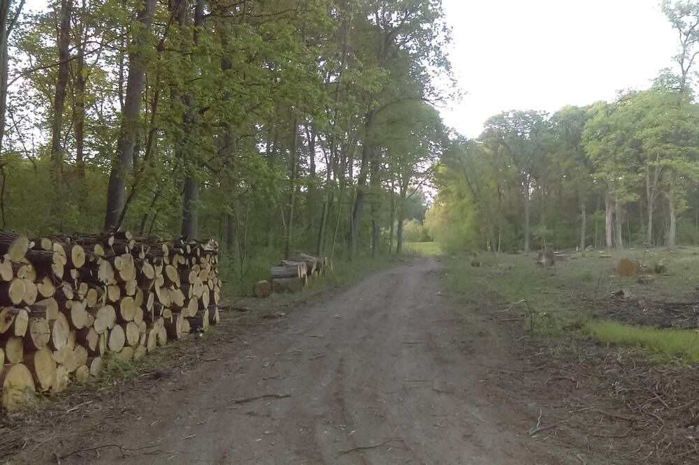 Photo of Outdoor in Tiszadob
