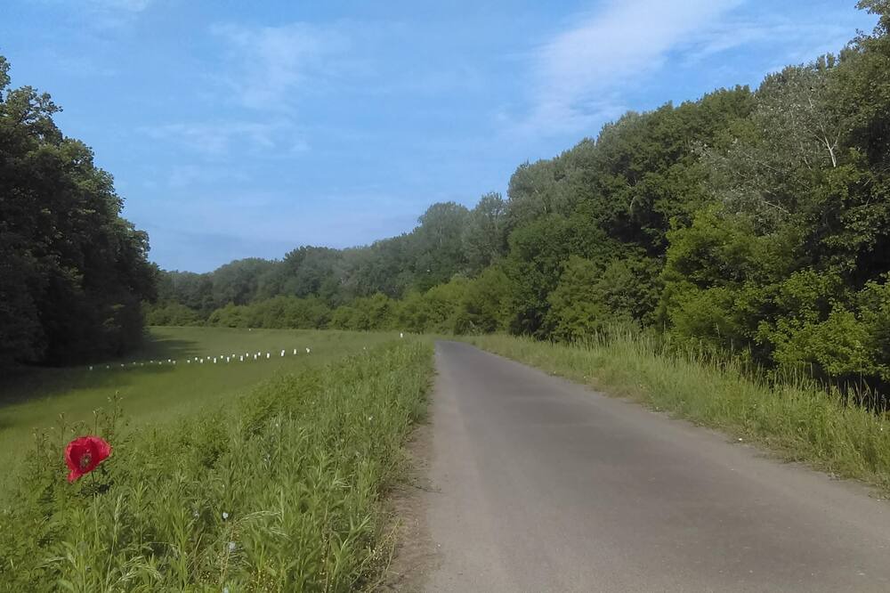 Photo of Outdoor in Tiszadob