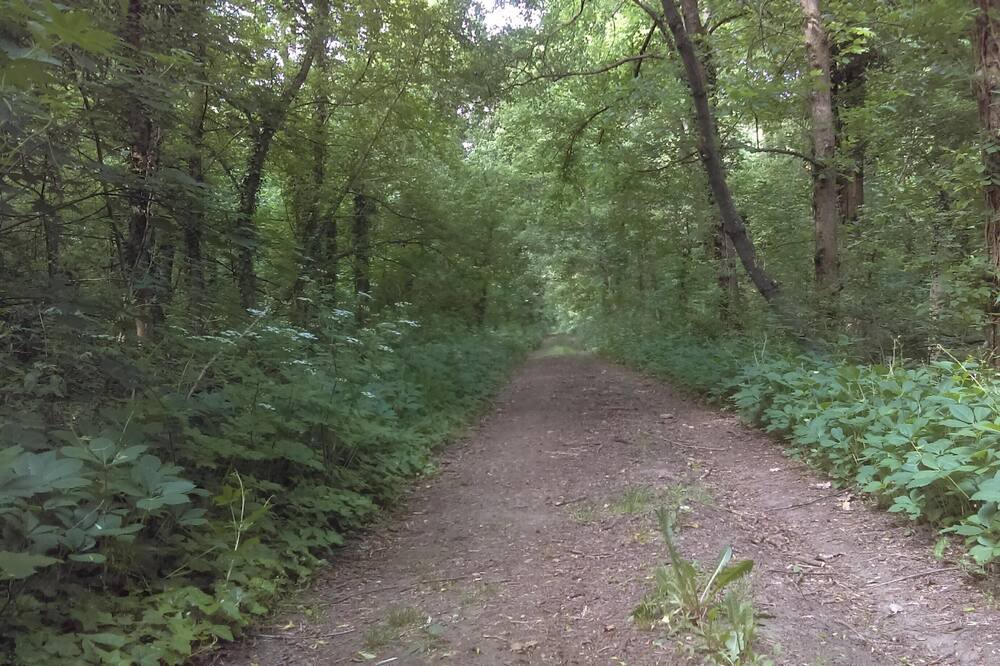 Photo of Outdoor in Tiszadob