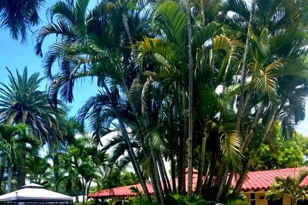 Photo of Outdoor in Coral Ridge