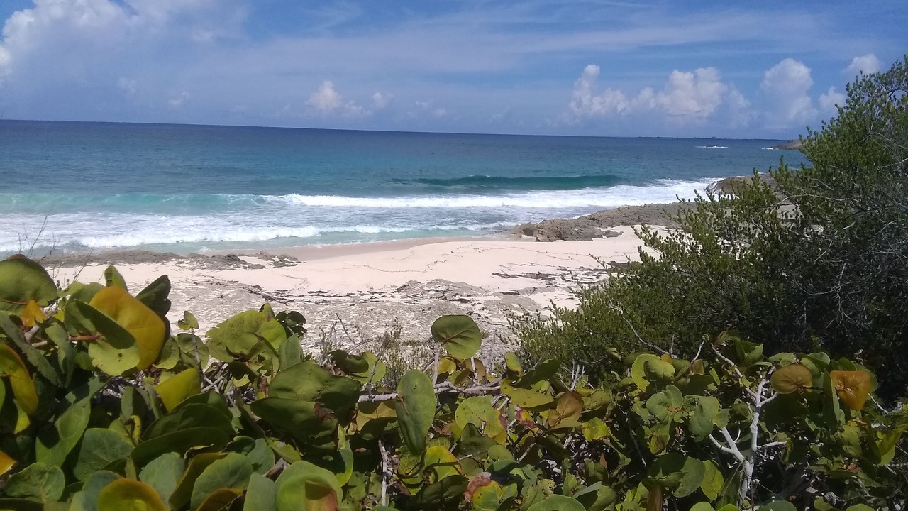 Photo of Others in Rainbow Bay